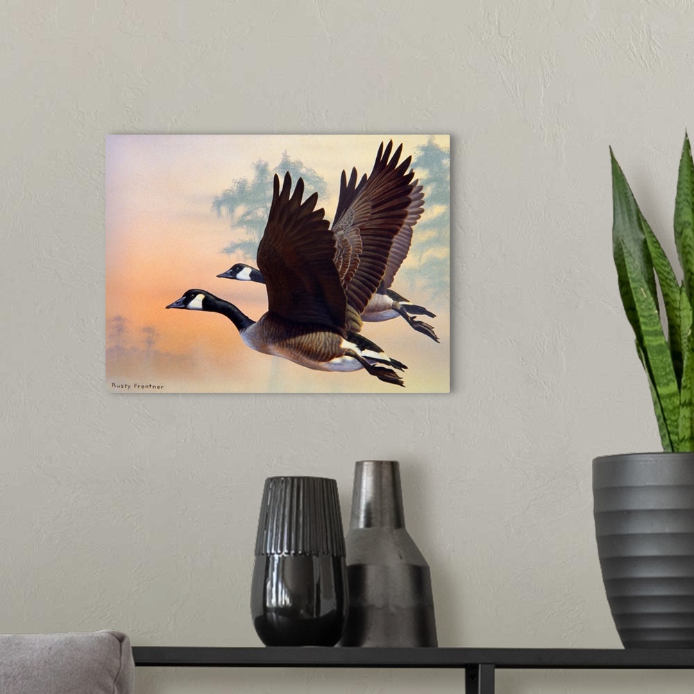 A modern room featuring Two canada geese flying at sunset, or sunrise.