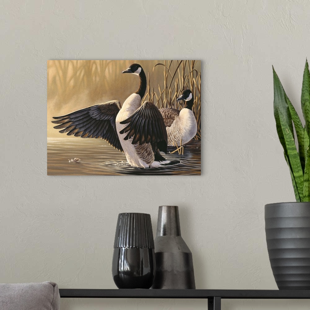 A modern room featuring Canadian geese in the water.
