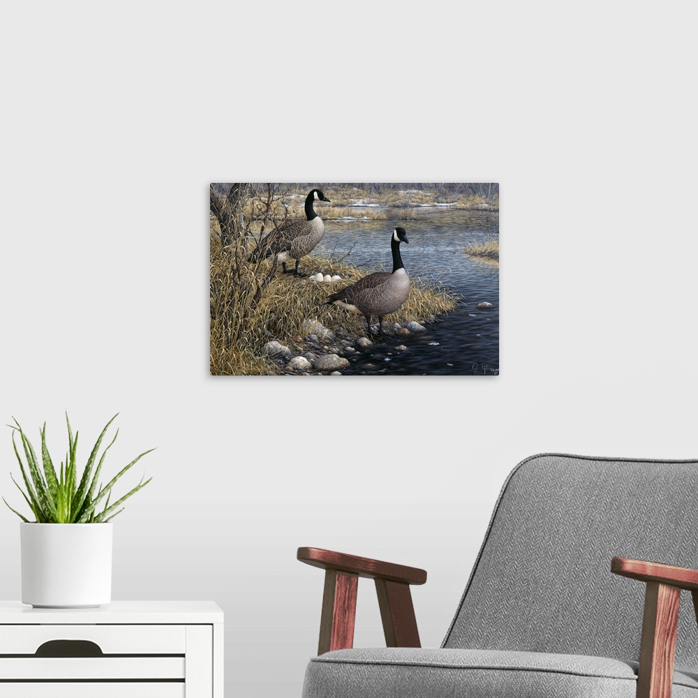 A modern room featuring two geese standing on either side of a nest of eggs, on the shoreline. One goose standing with it...
