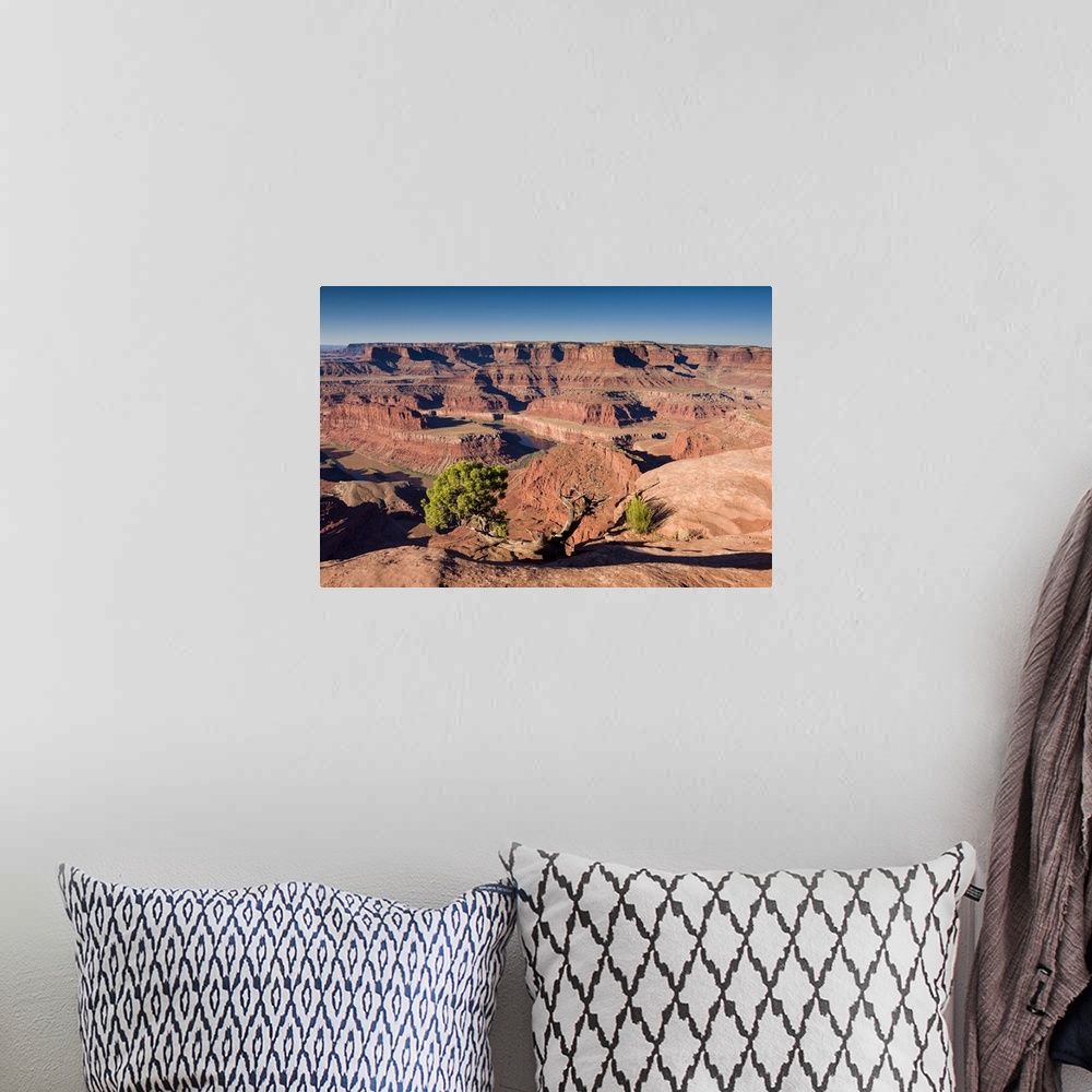 A bohemian room featuring A photograph of a red desert landscape.