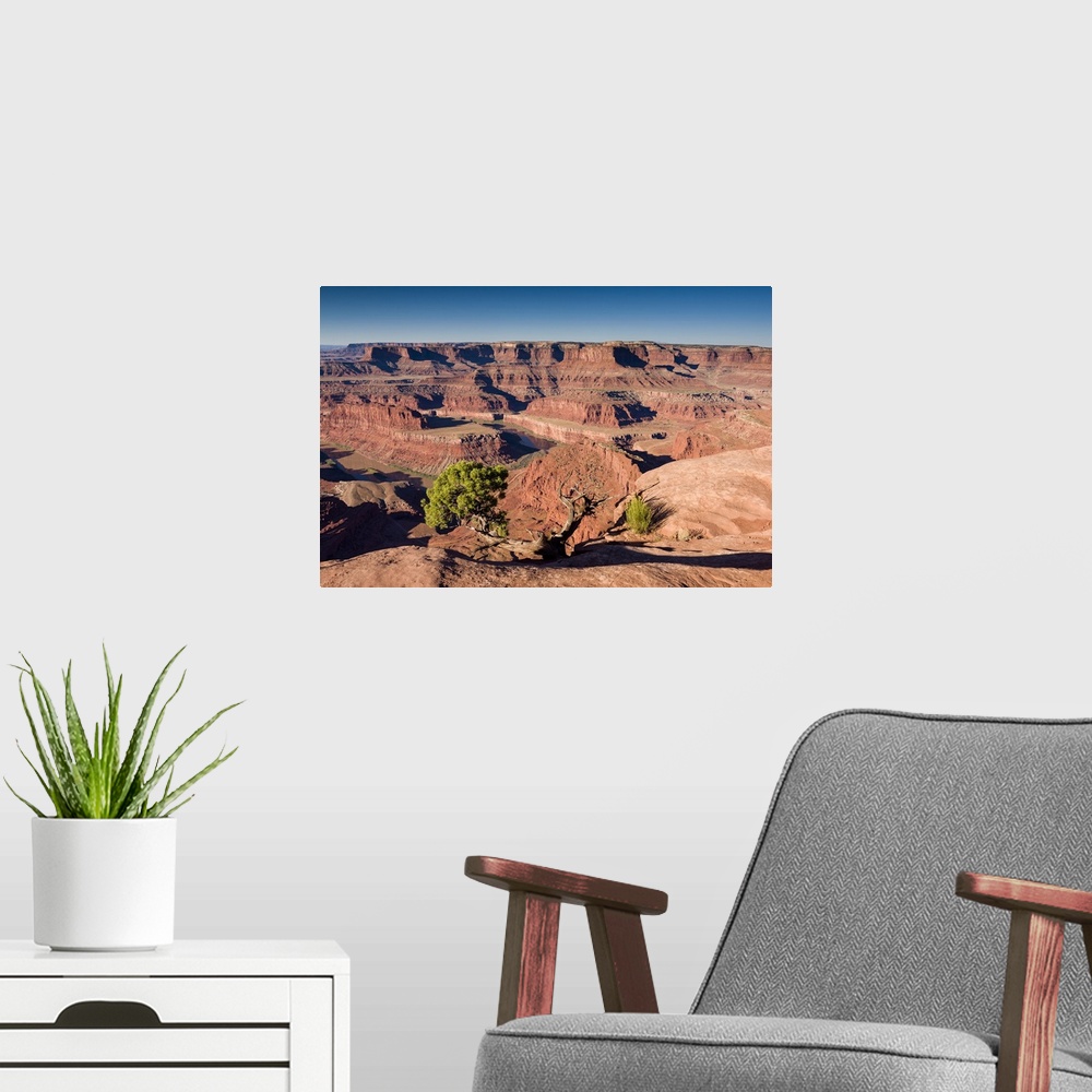 A modern room featuring A photograph of a red desert landscape.