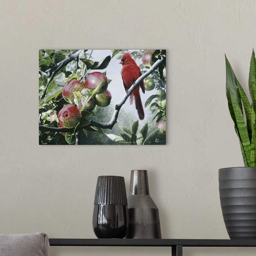 A modern room featuring Cardinal sitting on an apple tree branch.
