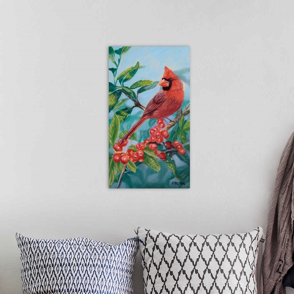 A bohemian room featuring Cardinal and Berriesbird
