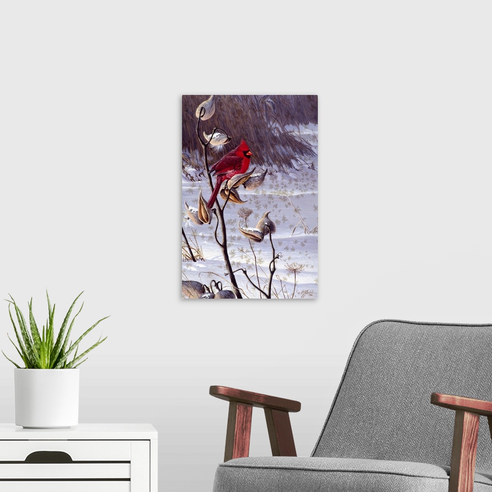 A modern room featuring Cardinal on a milkweed plant.