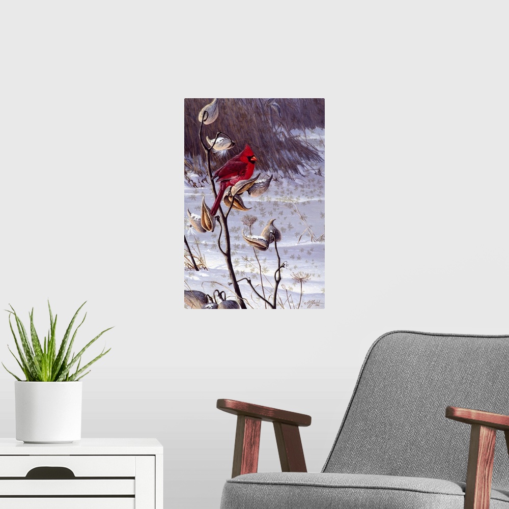 A modern room featuring Cardinal on a milkweed plant.