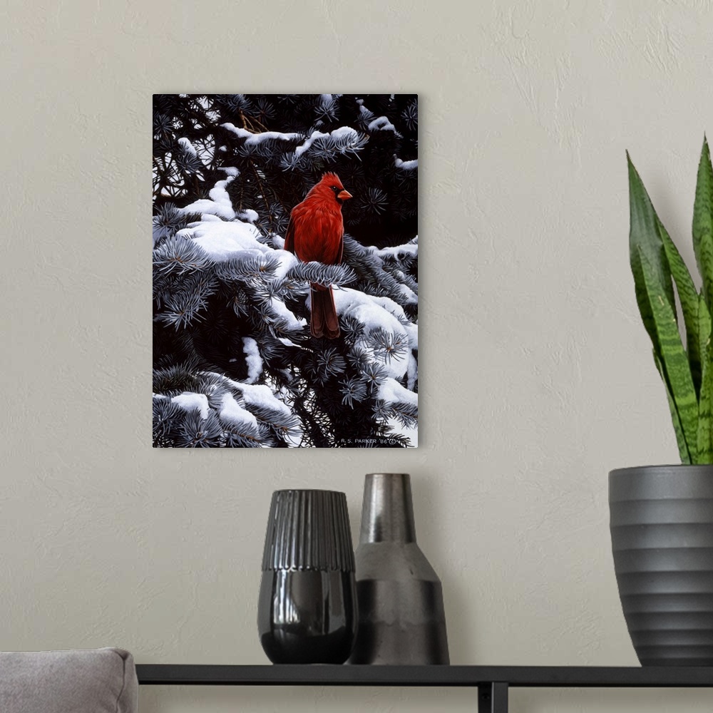 A modern room featuring A male cardinal rests on a snow-covered branch.