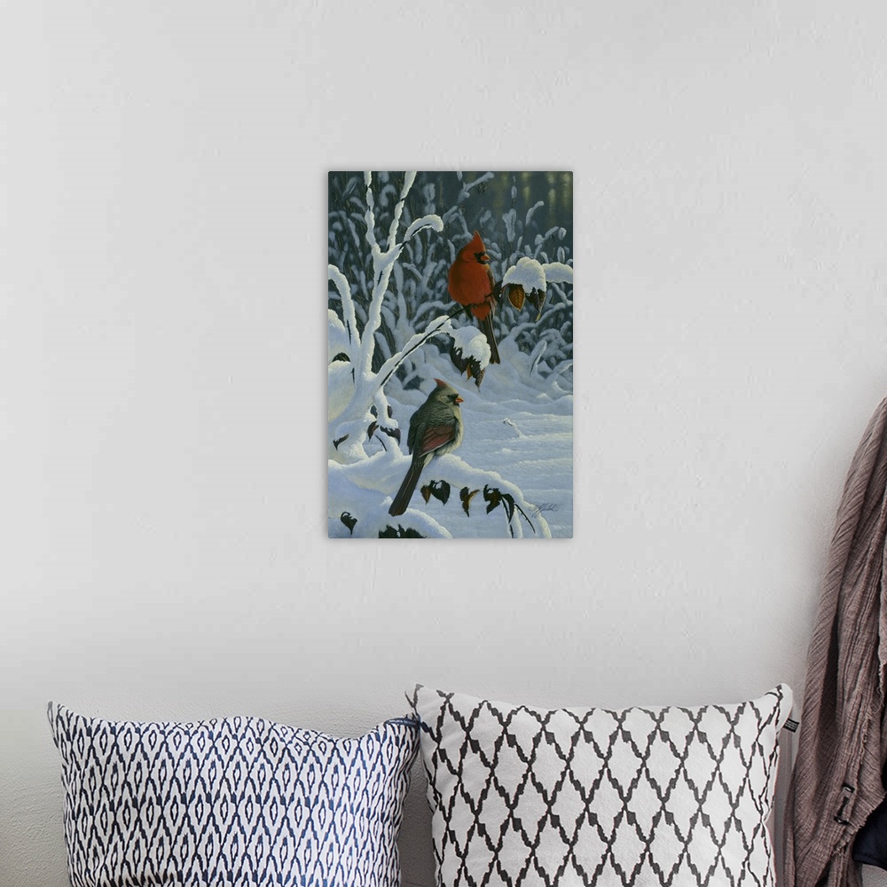 A bohemian room featuring A pair of cardinals on  a snow covered branch.