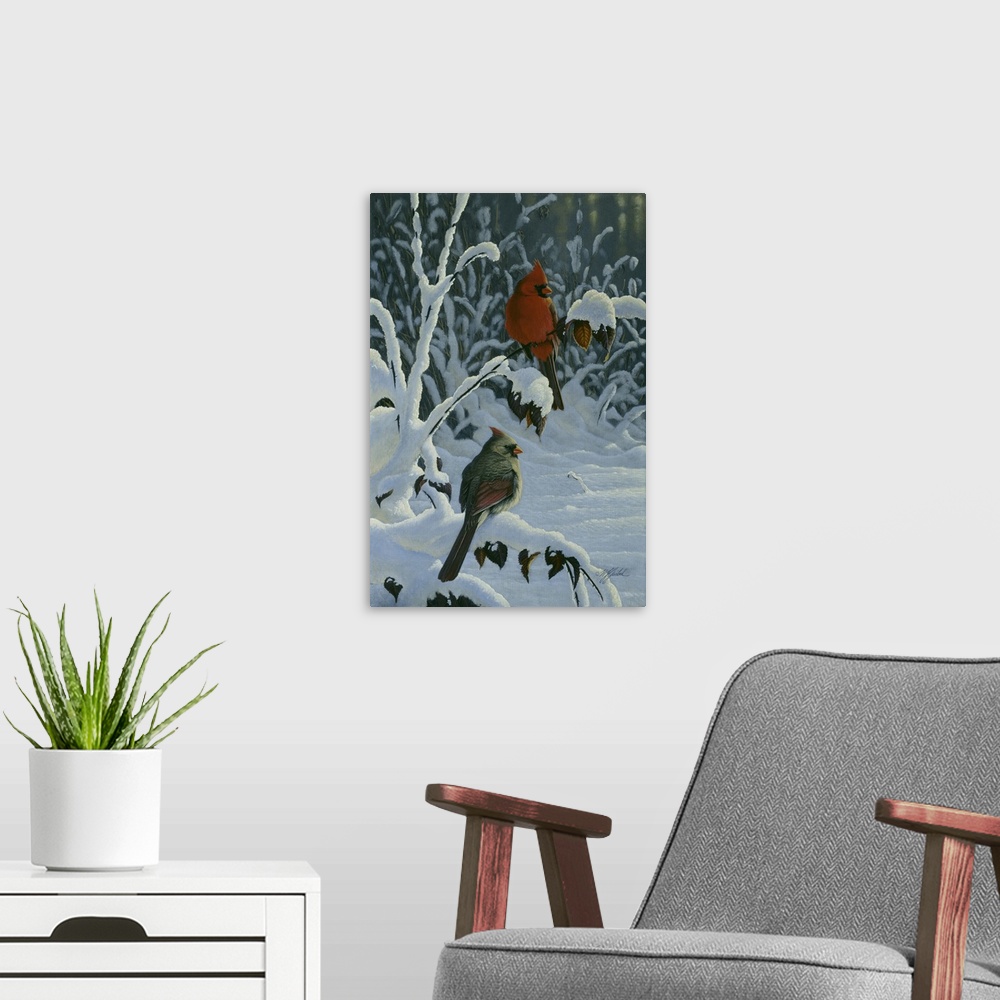 A modern room featuring A pair of cardinals on  a snow covered branch.