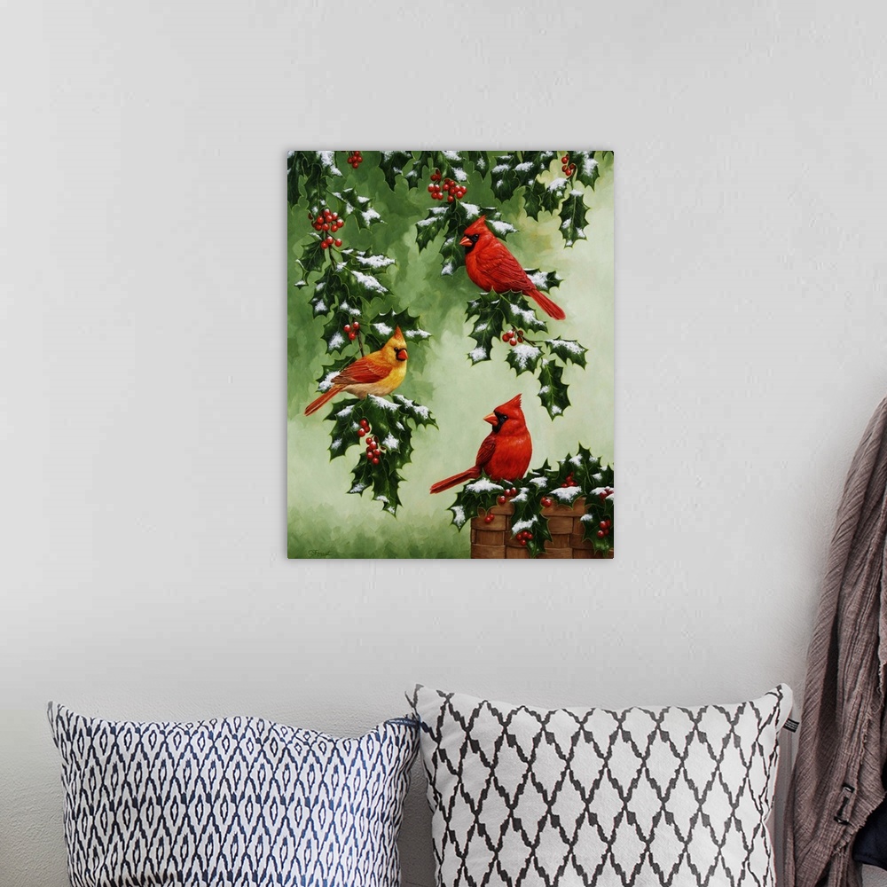 A bohemian room featuring Three cardinals perched on snow-covered holly branches.