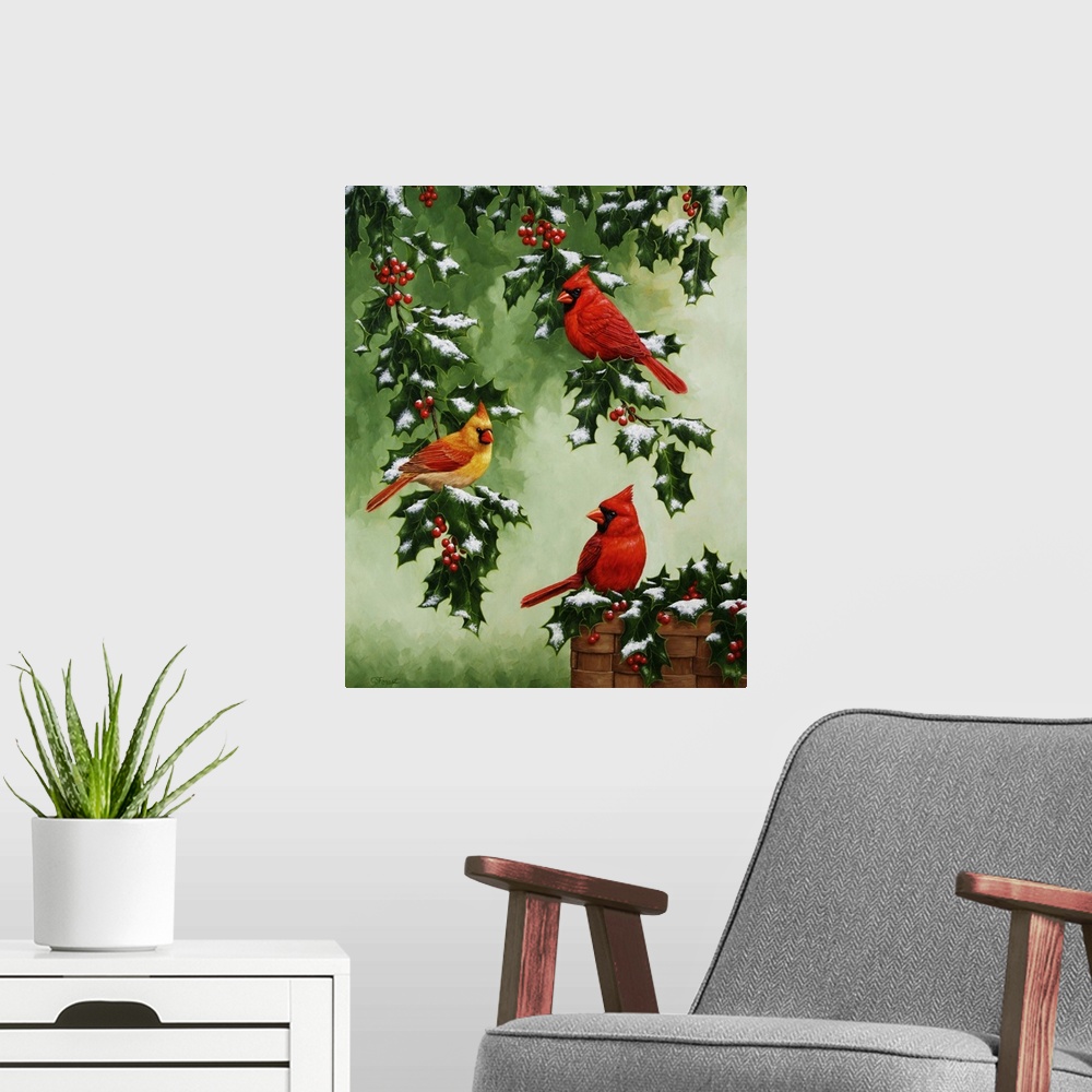 A modern room featuring Three cardinals perched on snow-covered holly branches.