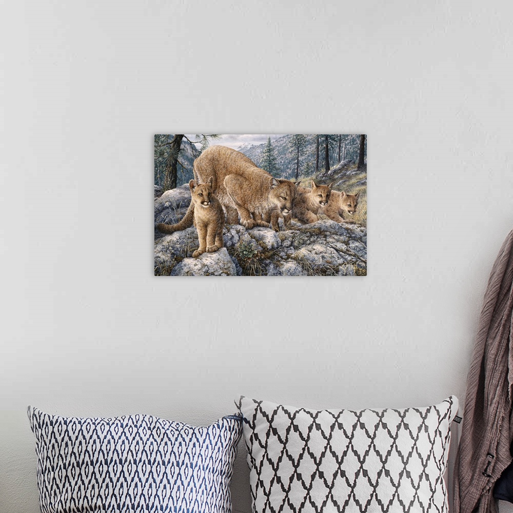 A bohemian room featuring mountain lion showing cubs how to pounce