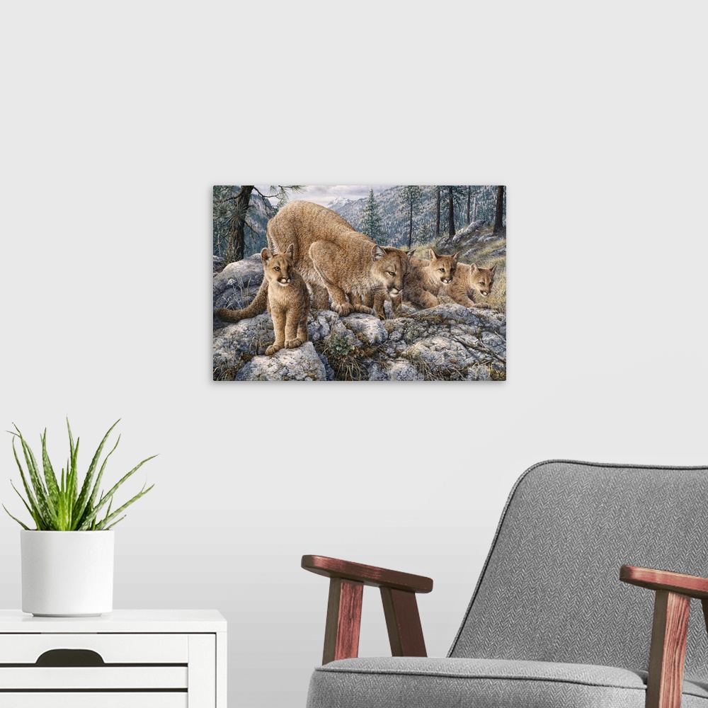 A modern room featuring mountain lion showing cubs how to pounce