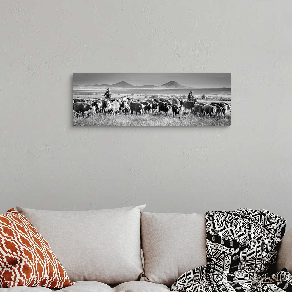 A bohemian room featuring Black and white panoramic photograph of two cowboys herding cattle.