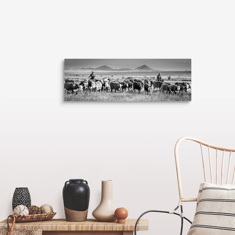 A farmhouse room featuring Black and white panoramic photograph of two cowboys herding cattle.