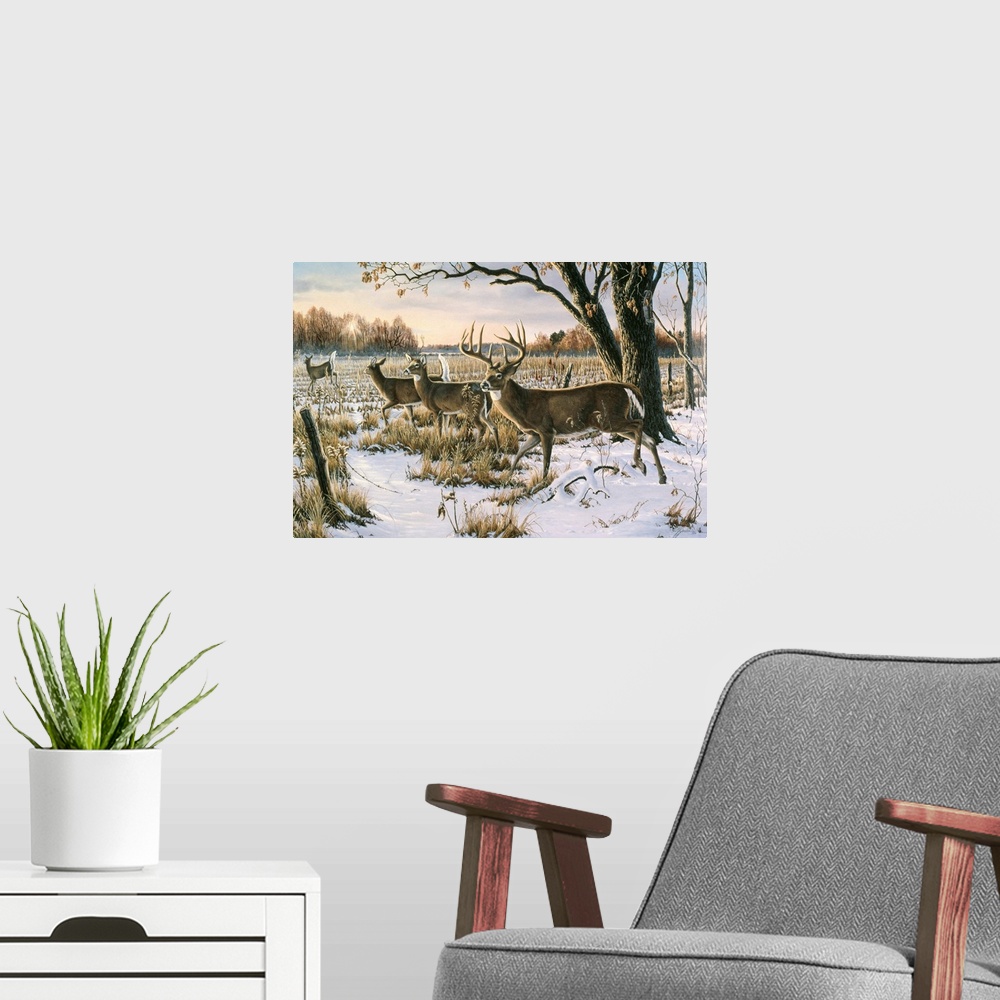 A modern room featuring Herd of white tails in a snowy field.