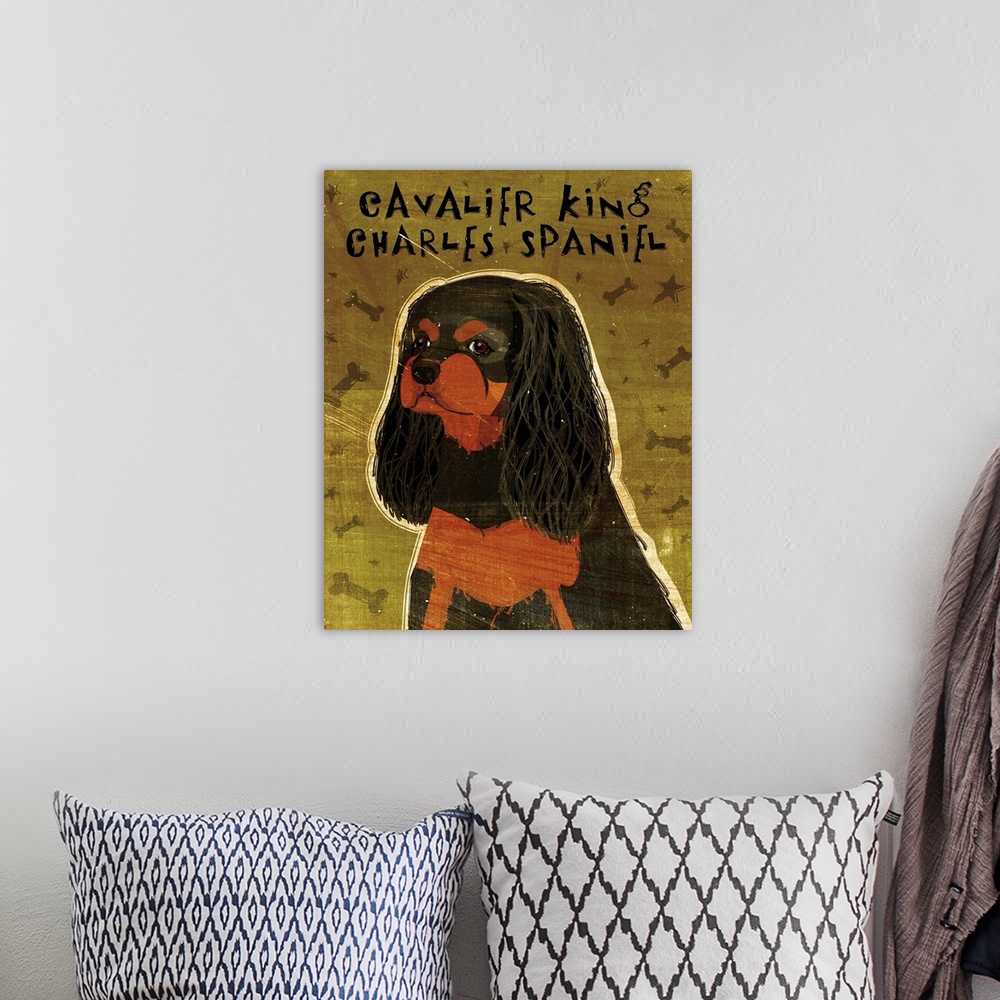 A bohemian room featuring Cavalier King Charles (black and tan)