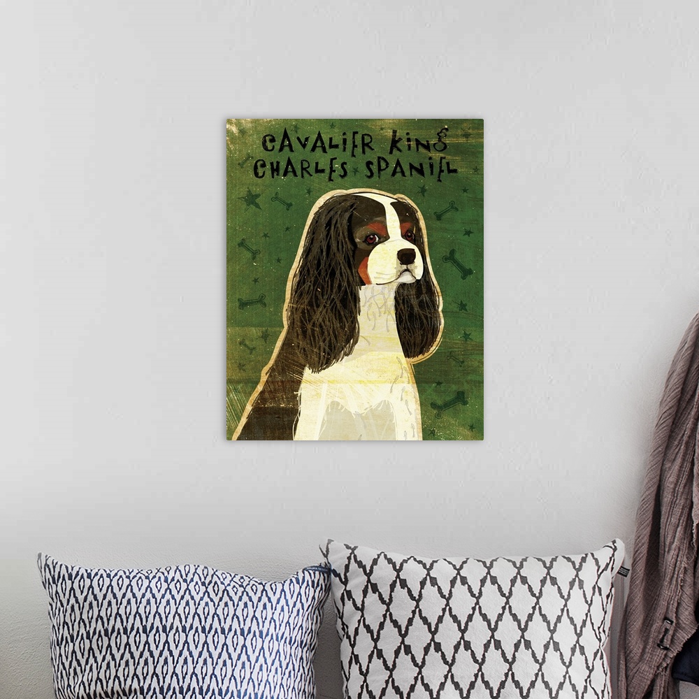 A bohemian room featuring Cavalier King Charles (tri-color)