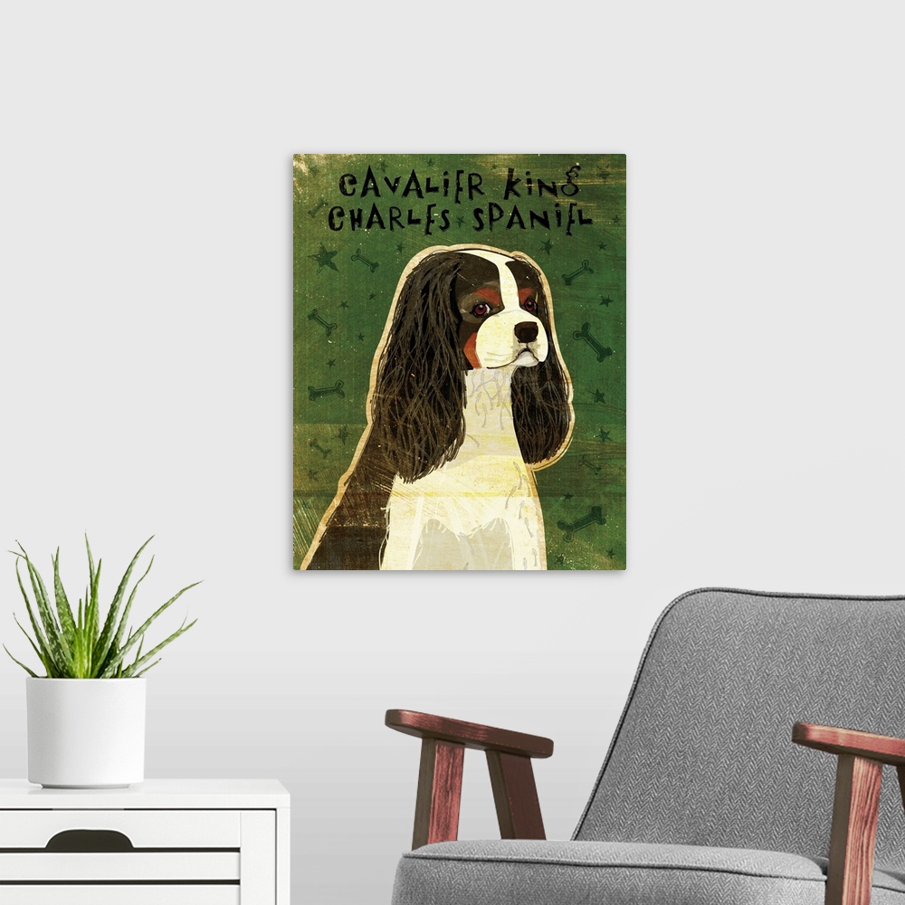 A modern room featuring Cavalier King Charles (tri-color)