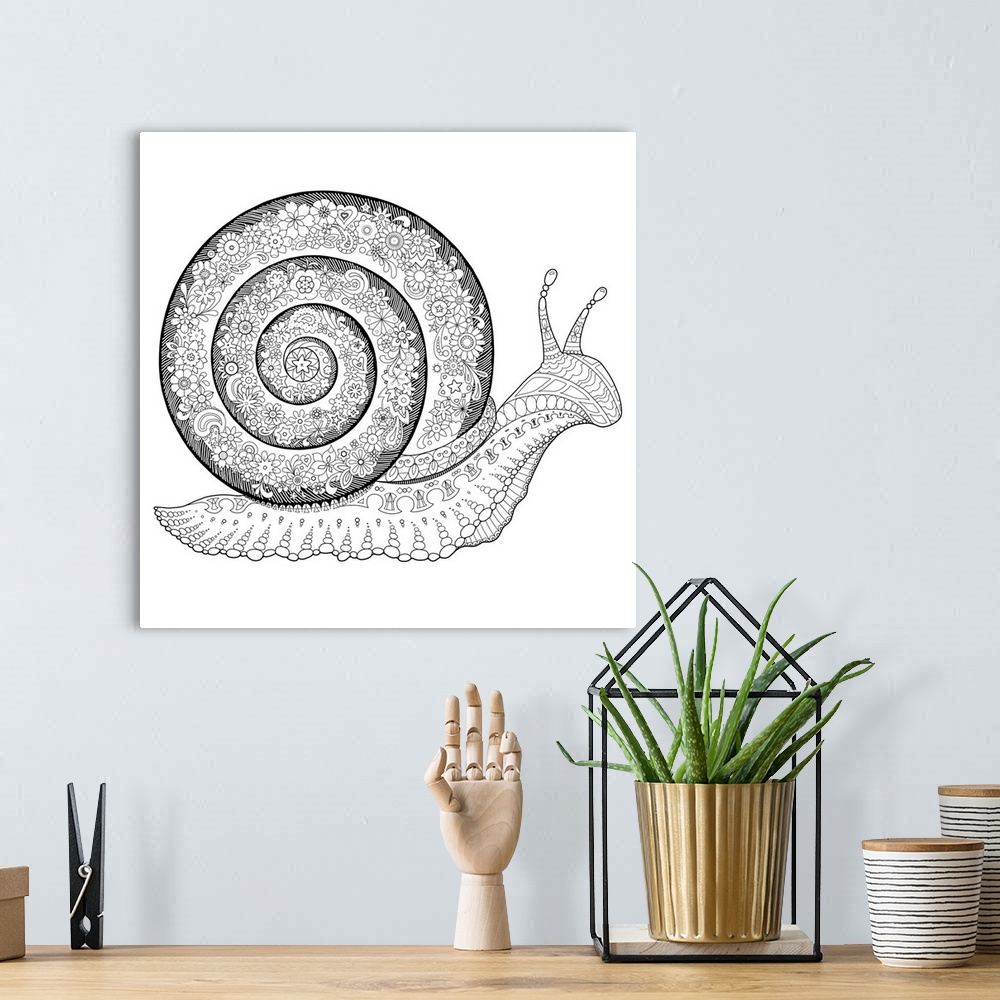 A bohemian room featuring Black and white line art of an intricately designed snail with a shell made of floral print.