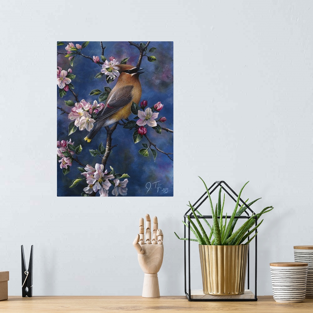 A bohemian room featuring a cedar wax wing in the apple blossomsbird autumn spring