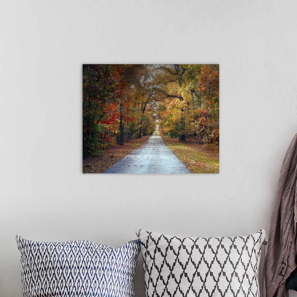 A bohemian room featuring Fine art photo of a road passing through a forest in the fall.