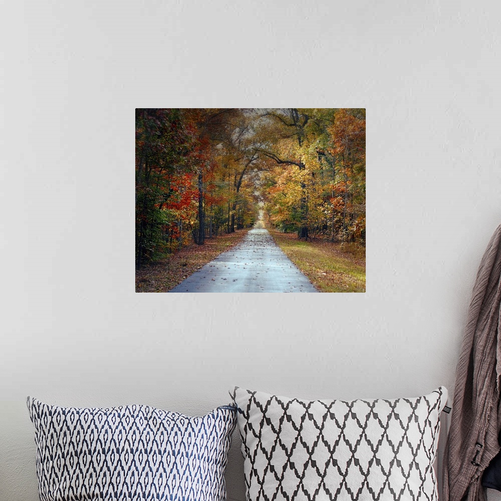 A bohemian room featuring Fine art photo of a road passing through a forest in the fall.