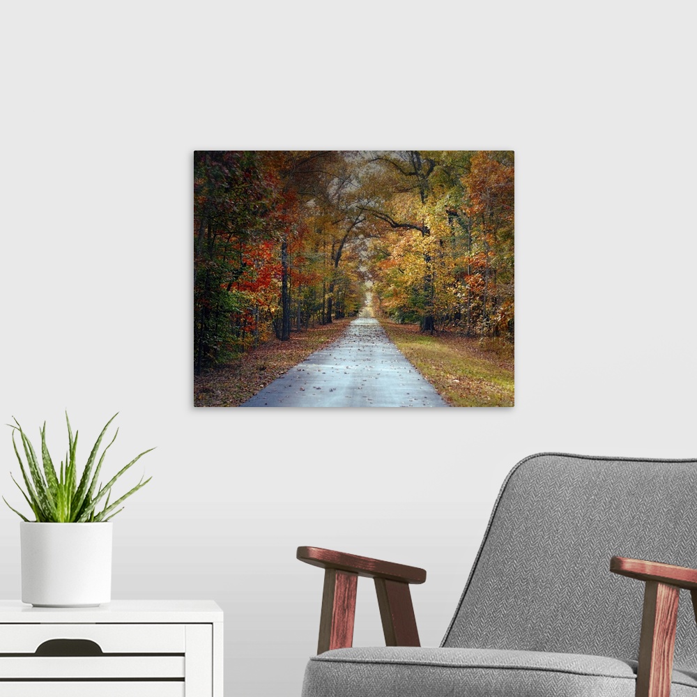 A modern room featuring Fine art photo of a road passing through a forest in the fall.