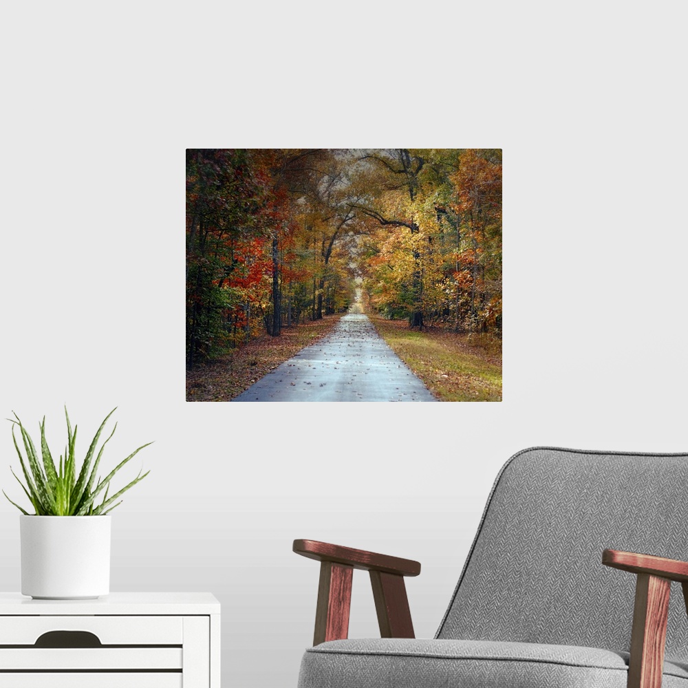 A modern room featuring Fine art photo of a road passing through a forest in the fall.
