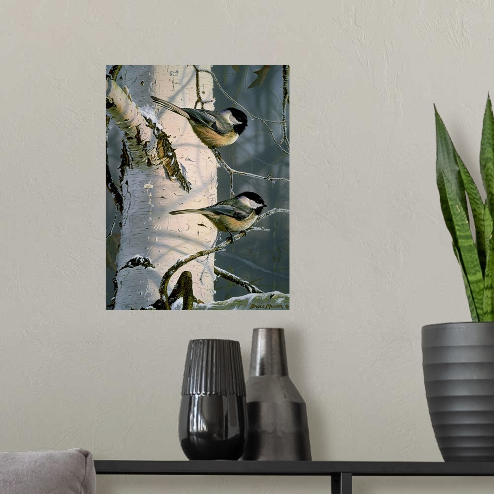 A modern room featuring Two chickadees on a white birch tree branch.