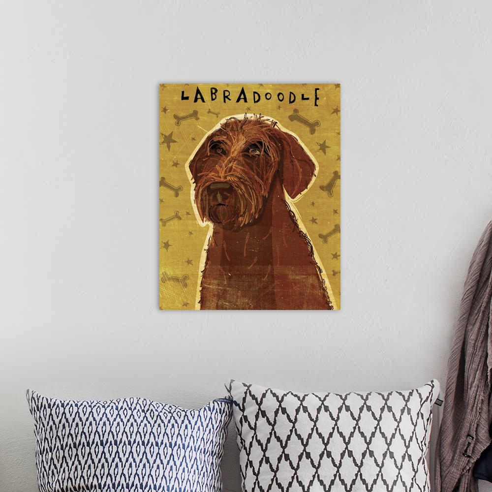 A bohemian room featuring Chocolate Labradoodle