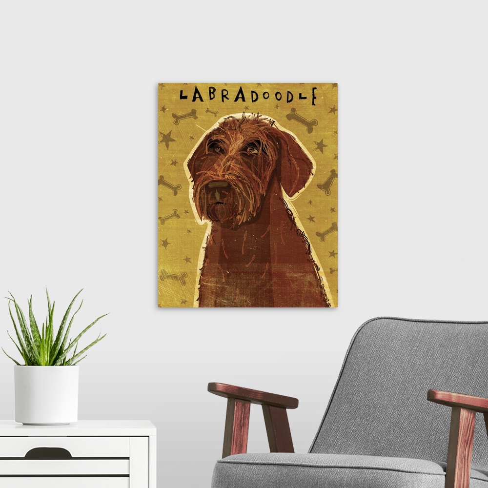 A modern room featuring Chocolate Labradoodle