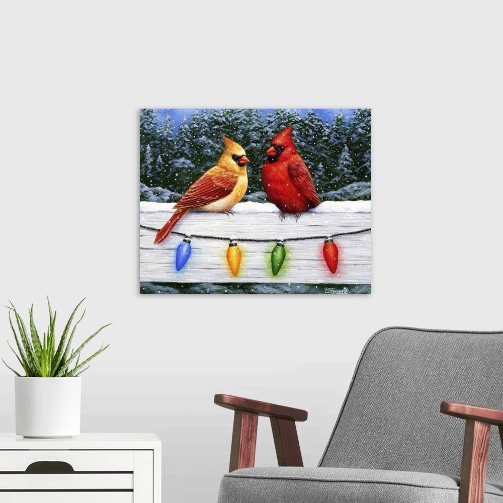 A modern room featuring A pair of cardinals on a fence with Christmas lights.
