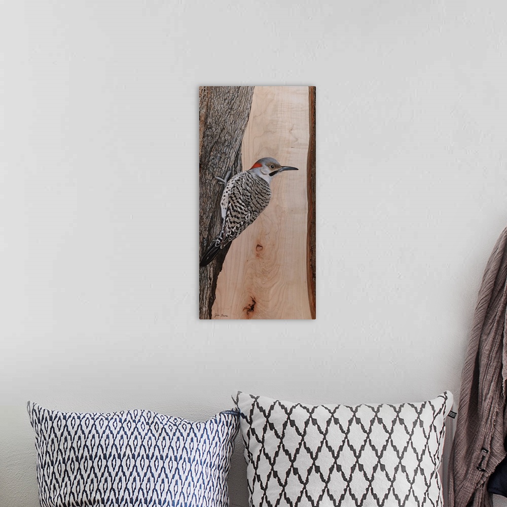 A bohemian room featuring Clinging Northern Flicker