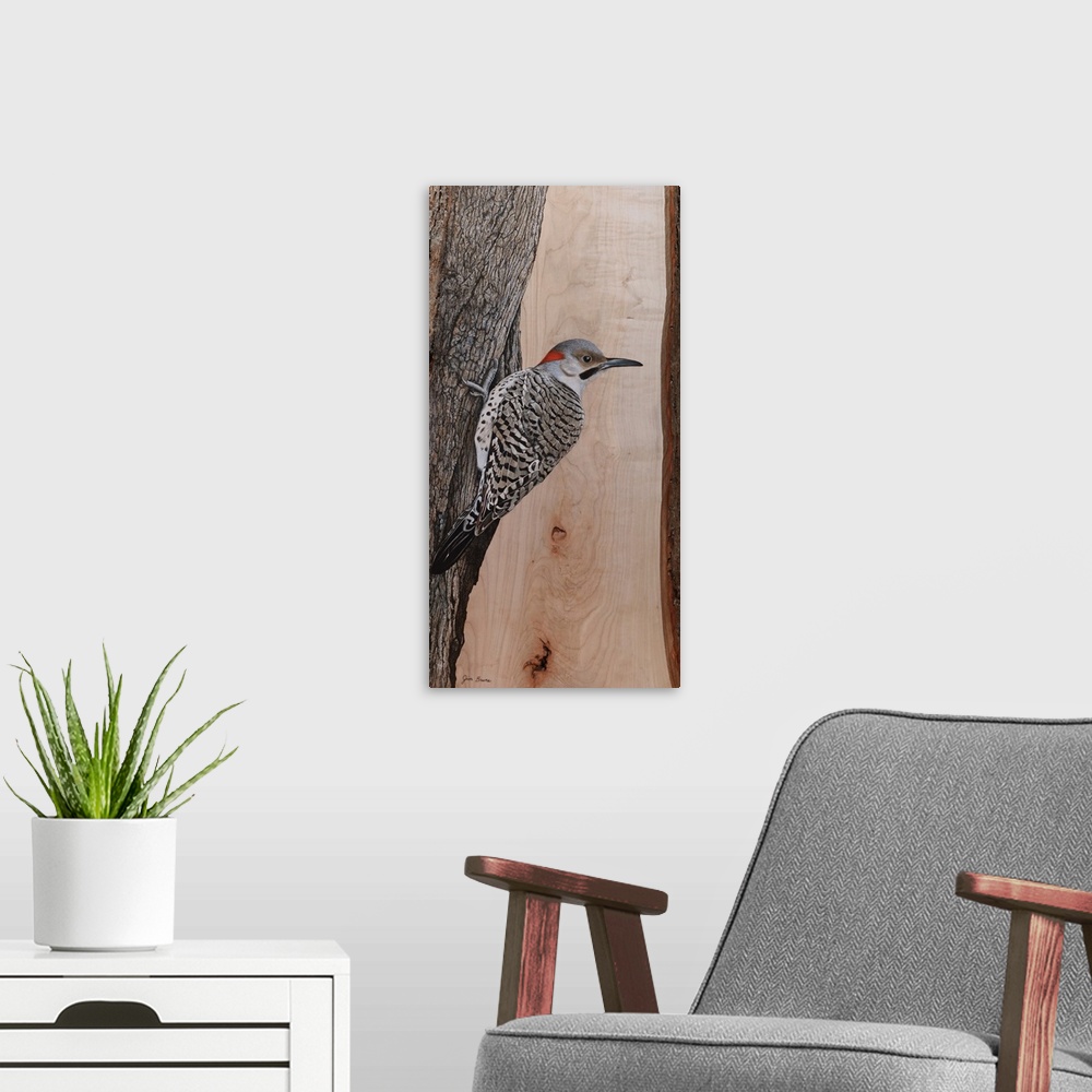 A modern room featuring Clinging Northern Flicker