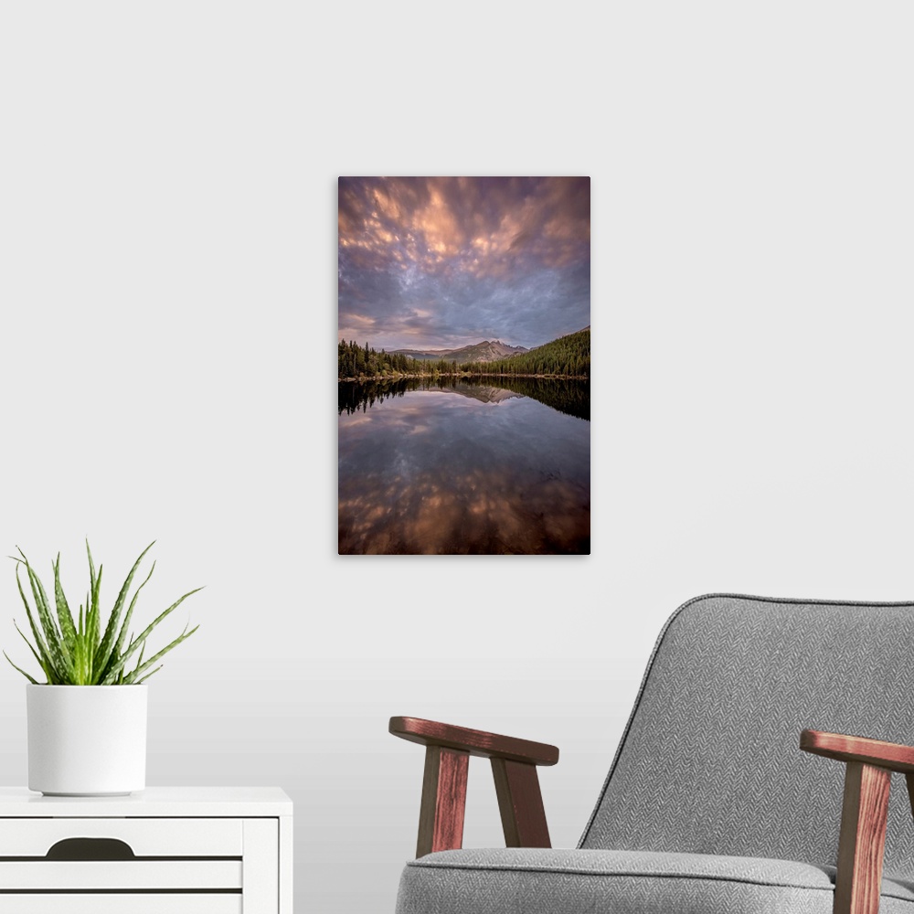 A modern room featuring Landscape photograph of trees and mountains reflecting onto a calm lake at sunset.