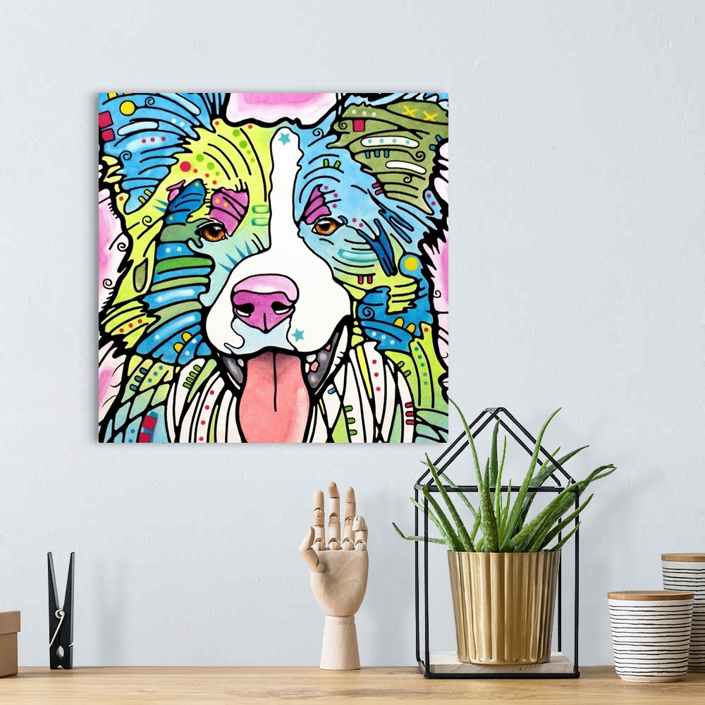 A bohemian room featuring Dog, Border Collie