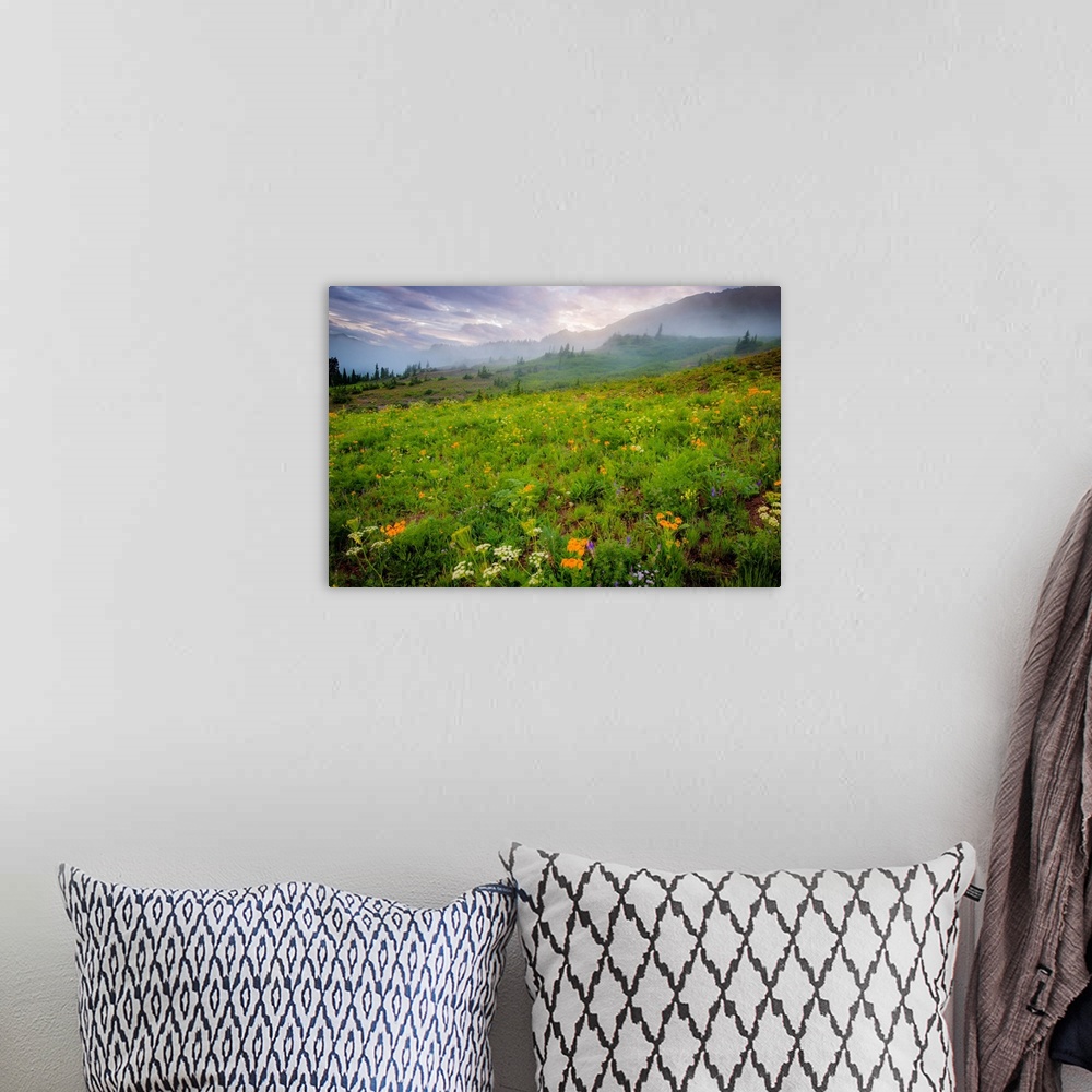 A bohemian room featuring Flowers in a Colorado field, color photograph