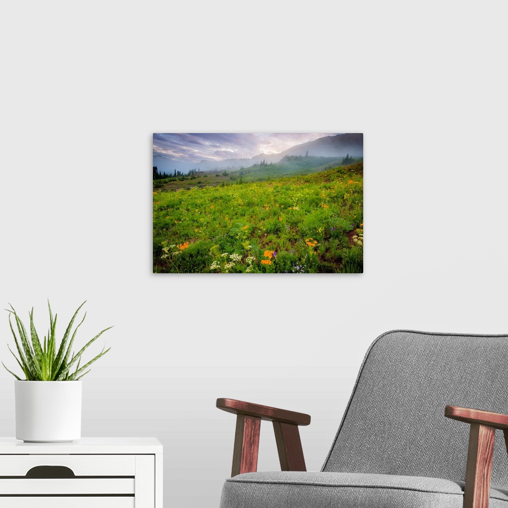 A modern room featuring Flowers in a Colorado field, color photograph