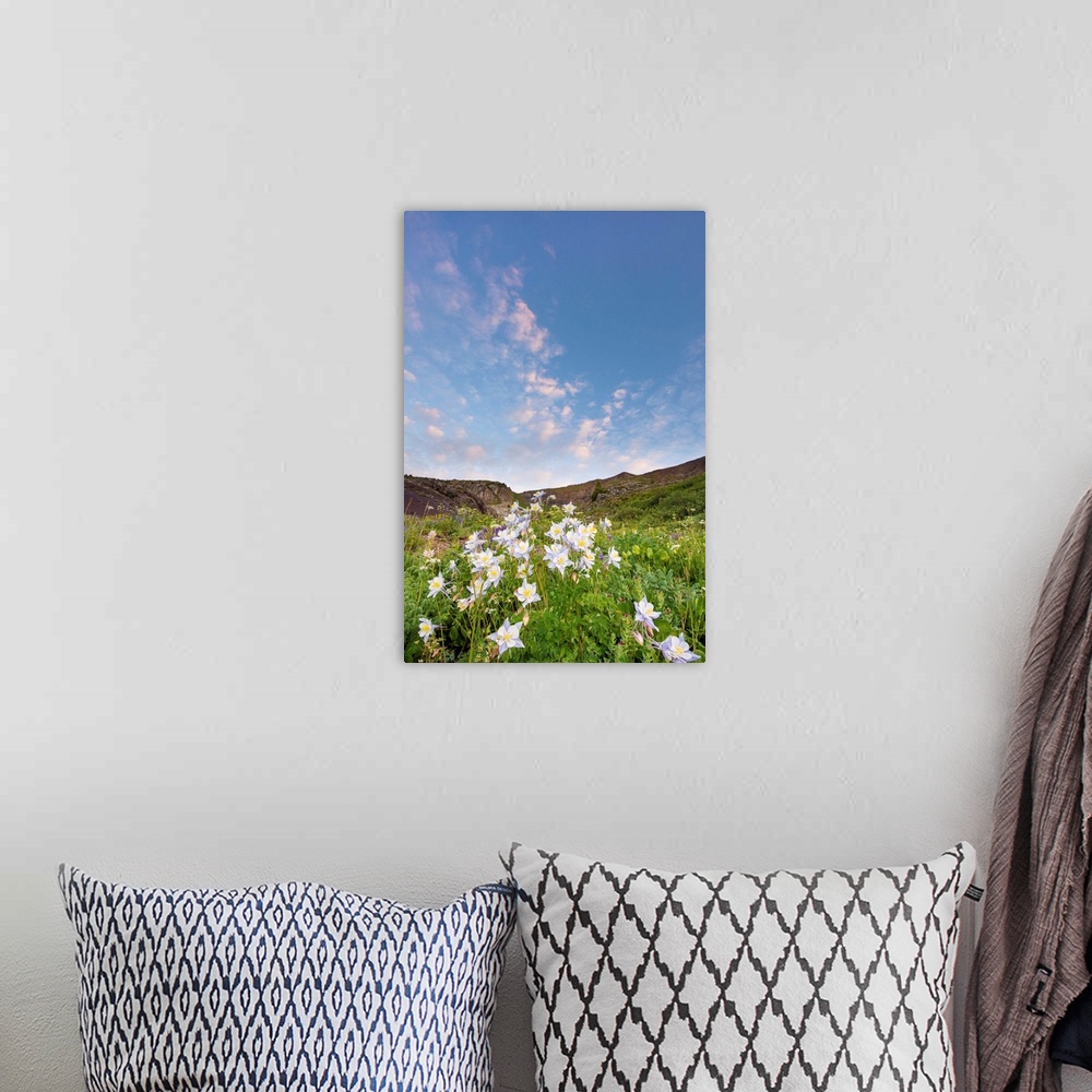 A bohemian room featuring flowers in a field, color photograph