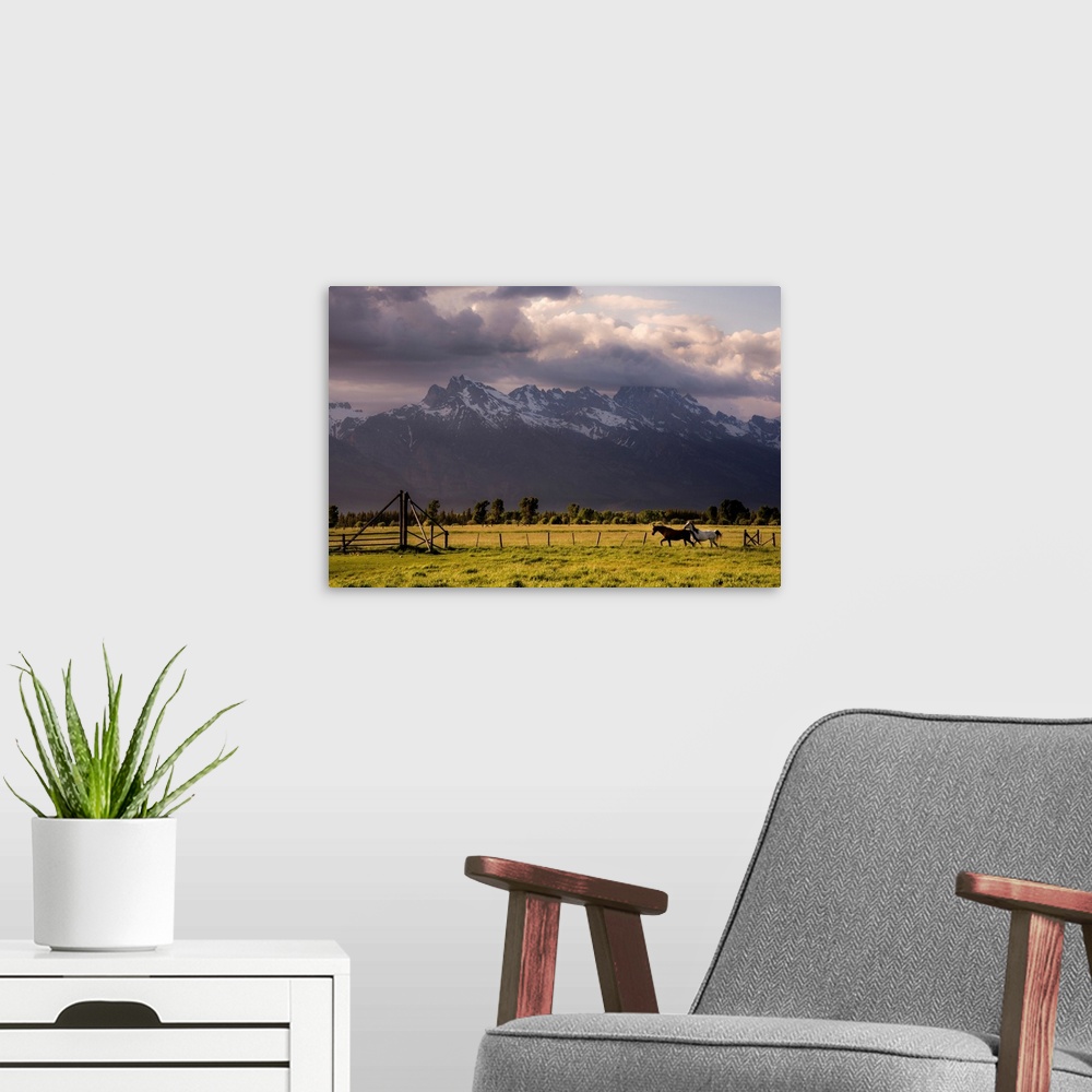 A modern room featuring Photograph of a brown and white horse galloping though a field with snowy mountains in the backgr...