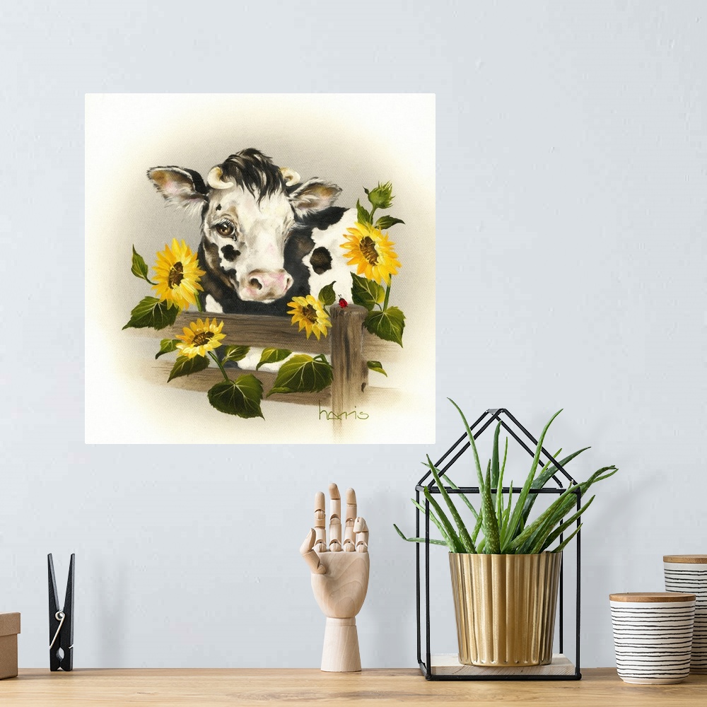 A bohemian room featuring Black and white cow looking over a fence with four sunflowers.