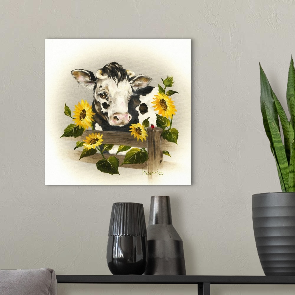 A modern room featuring Black and white cow looking over a fence with four sunflowers.