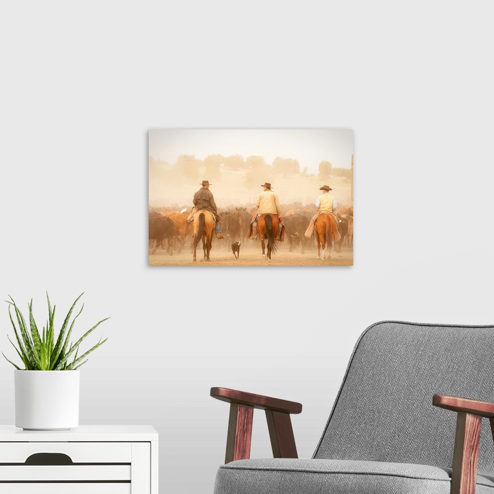 A modern room featuring Cowboys on horse with a dog driving cattle