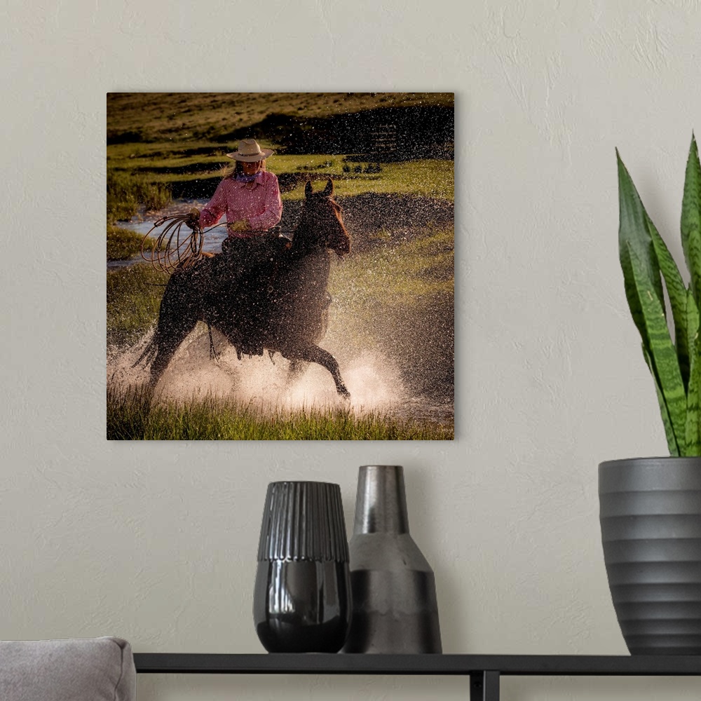 A modern room featuring Square photograph of a cowgirl riding her horse through a stream with her lasso out.