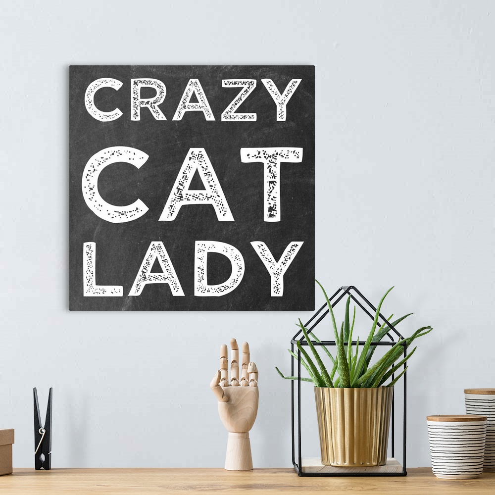 A bohemian room featuring Crazy Cat