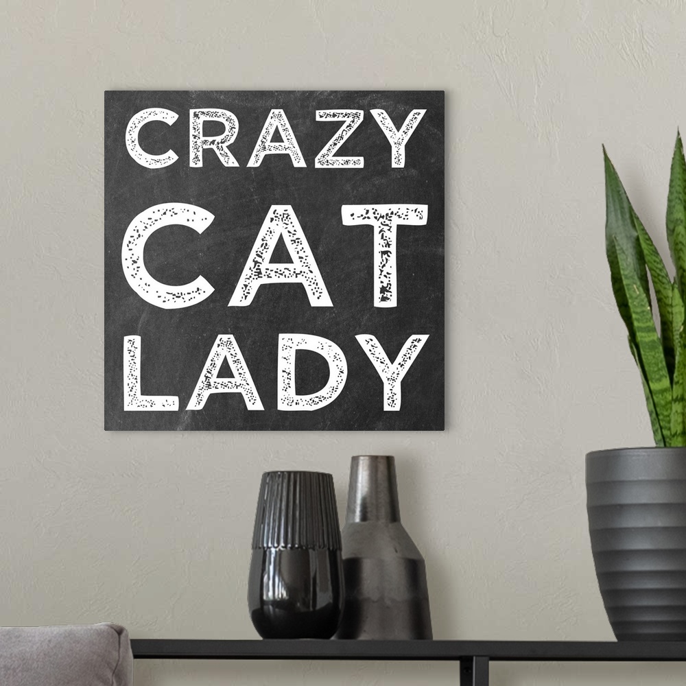 A modern room featuring Crazy Cat
