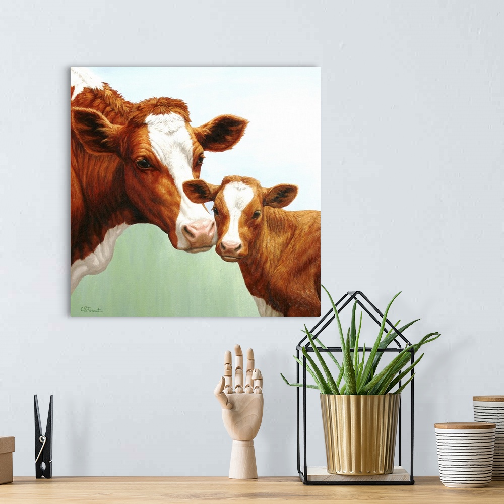 A bohemian room featuring A brown and white dairy cow and her calf.