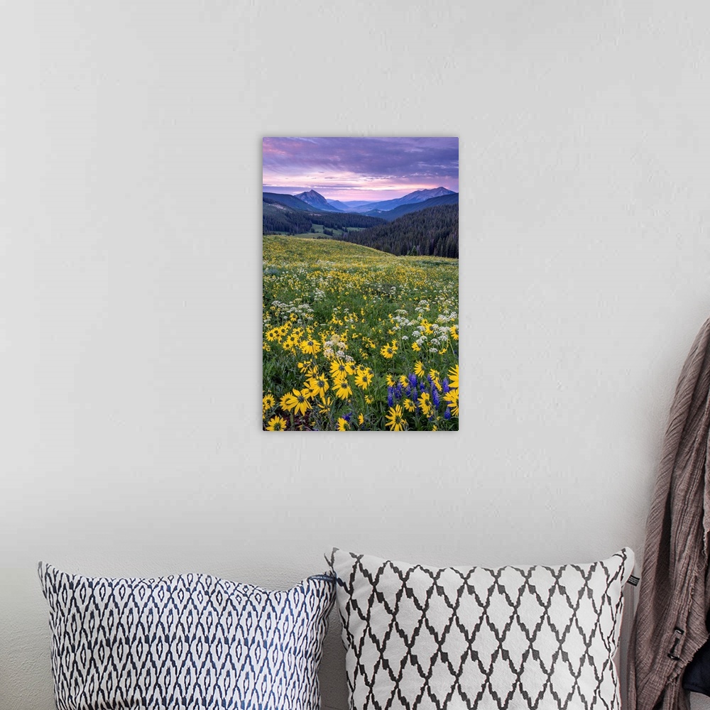 A bohemian room featuring Landscape photograph with a field of wildflowers and mountains in the distance at sunset.