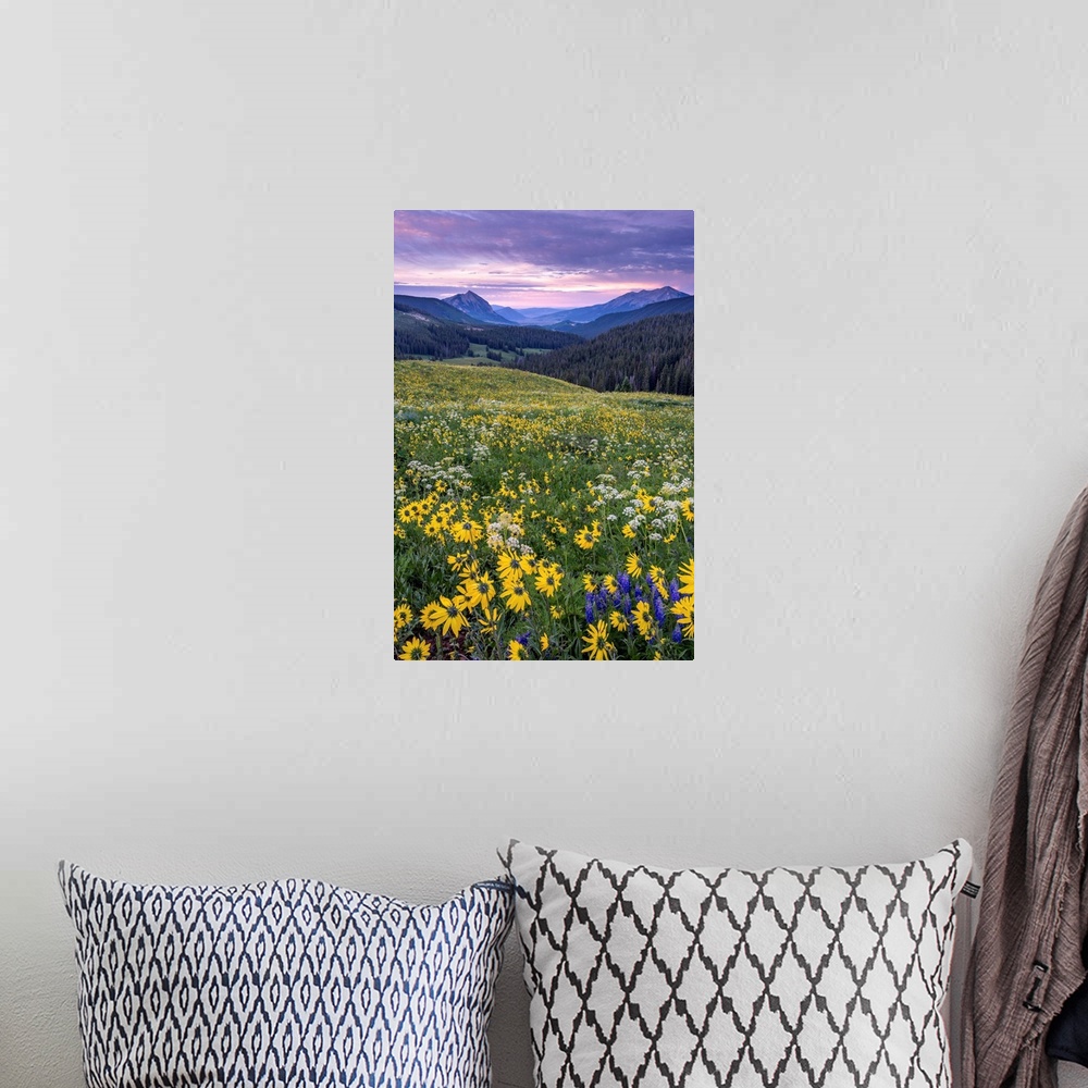 A bohemian room featuring Landscape photograph with a field of wildflowers and mountains in the distance at sunset.