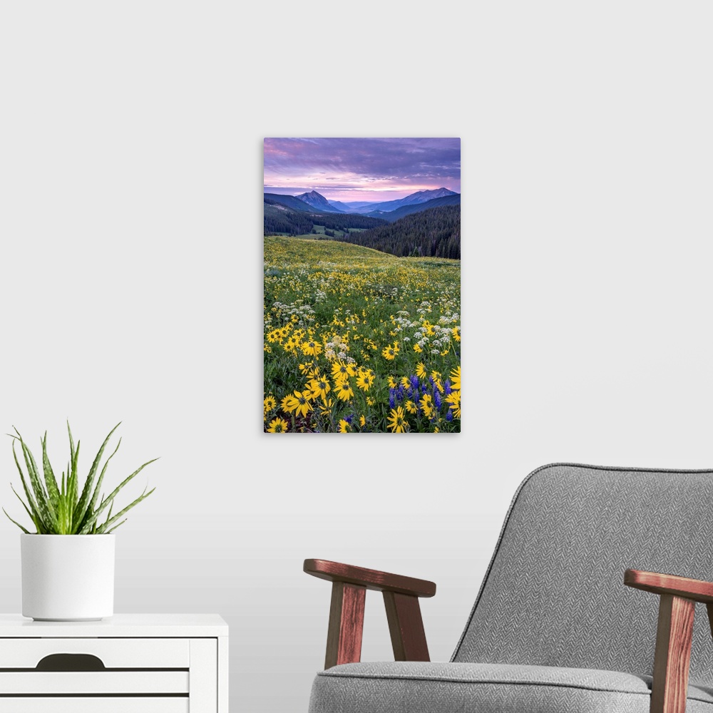 A modern room featuring Landscape photograph with a field of wildflowers and mountains in the distance at sunset.